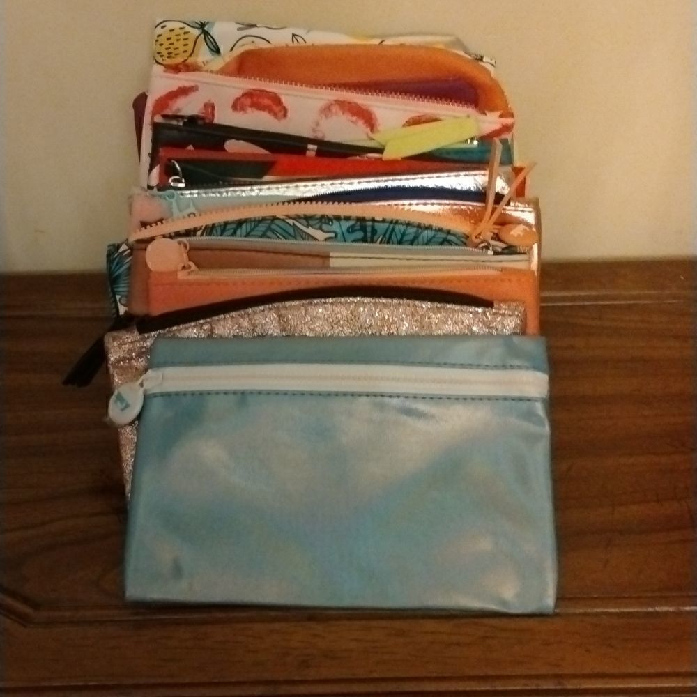 Ipsy Makeup bags  